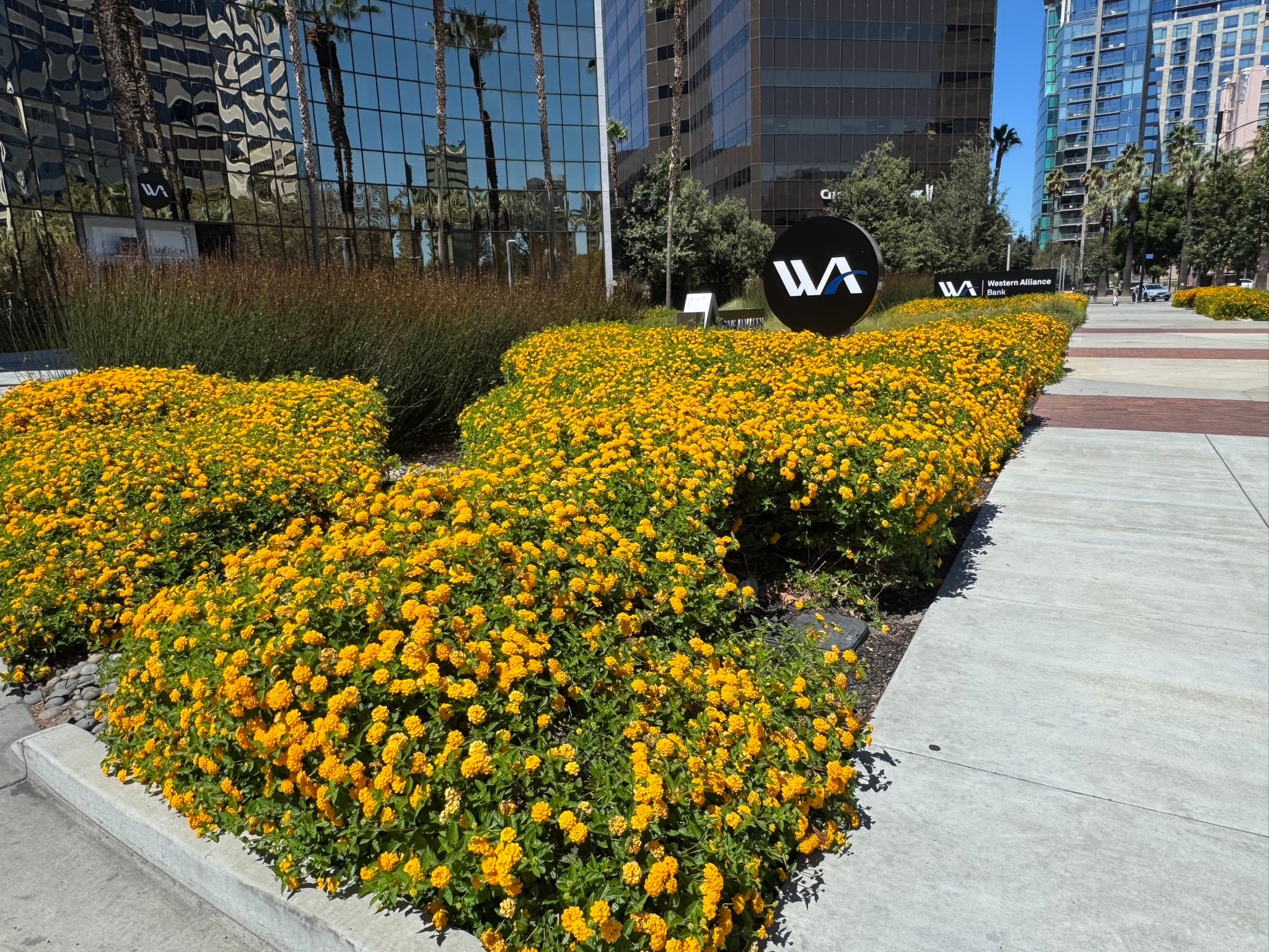 The Flowers Were Already There