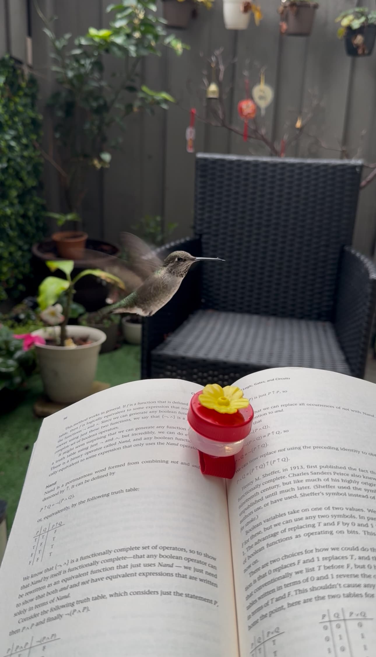 The Little Friend in the Garden